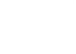 Blue Hummingbird Trust Logo
